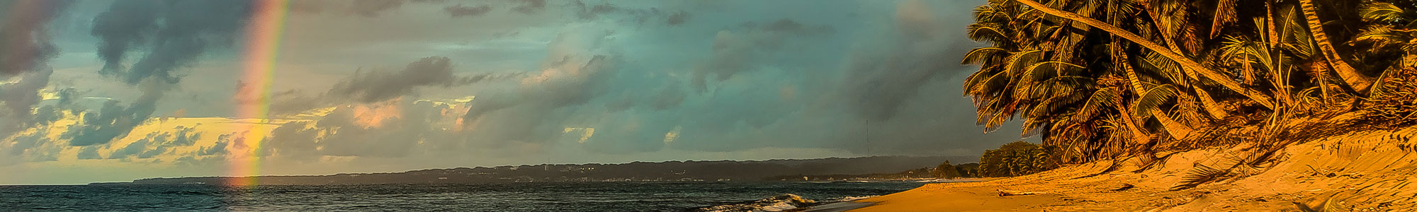 Puerto Rico Surf Camp