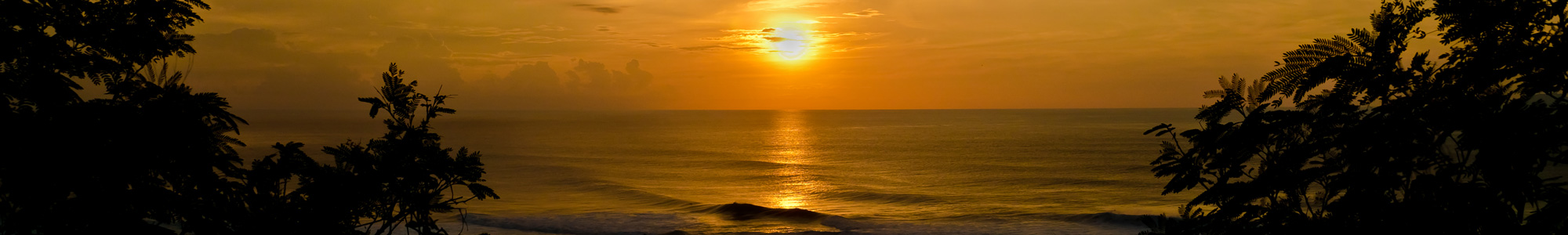 Puerto Rico Surf Camp